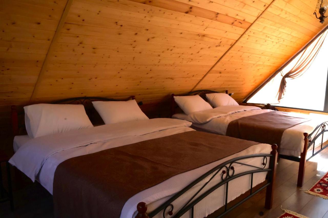 Cottage Mtachy Kazbegi Ngoại thất bức ảnh